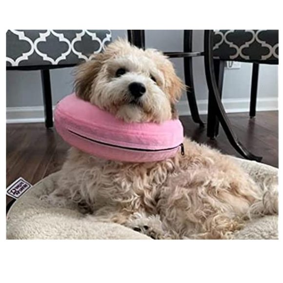 Katoggy Other - Katoggy Pets Inflatable Recovery Dog Collar